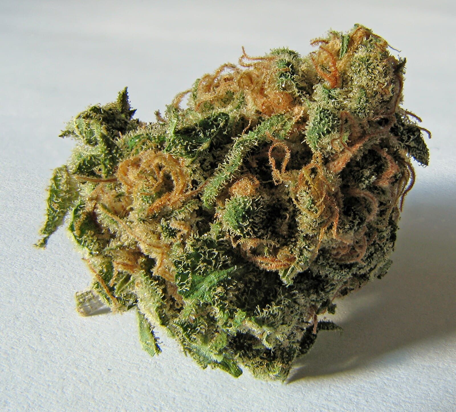Macro photograph of a cannabis bud