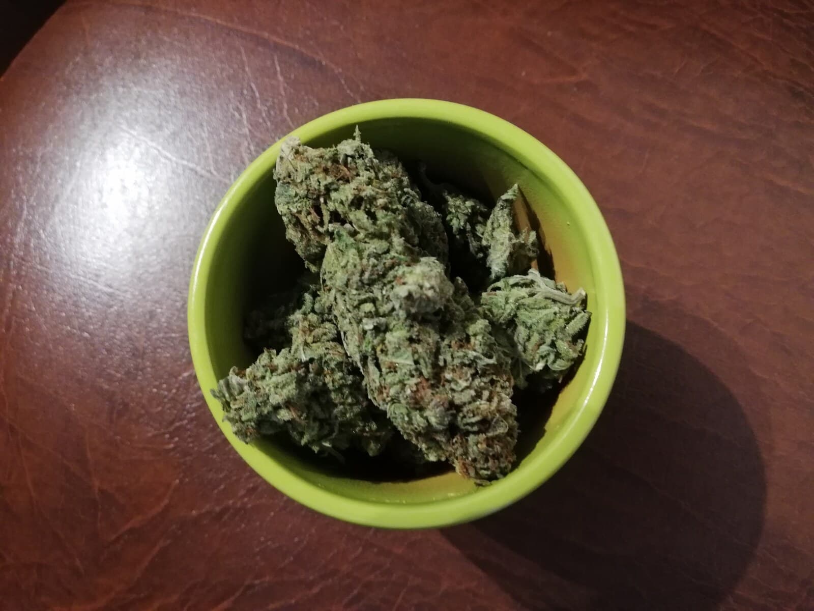 Close-up of trichome-frosted hemp bud