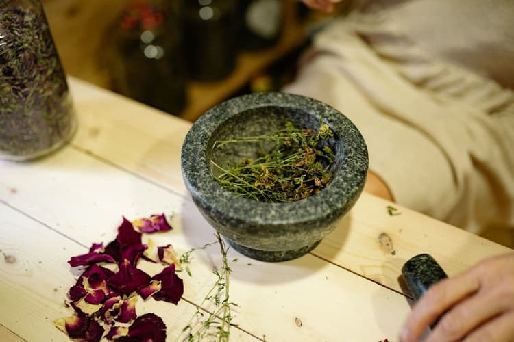 Dried herbs in a stone mortar in the studio