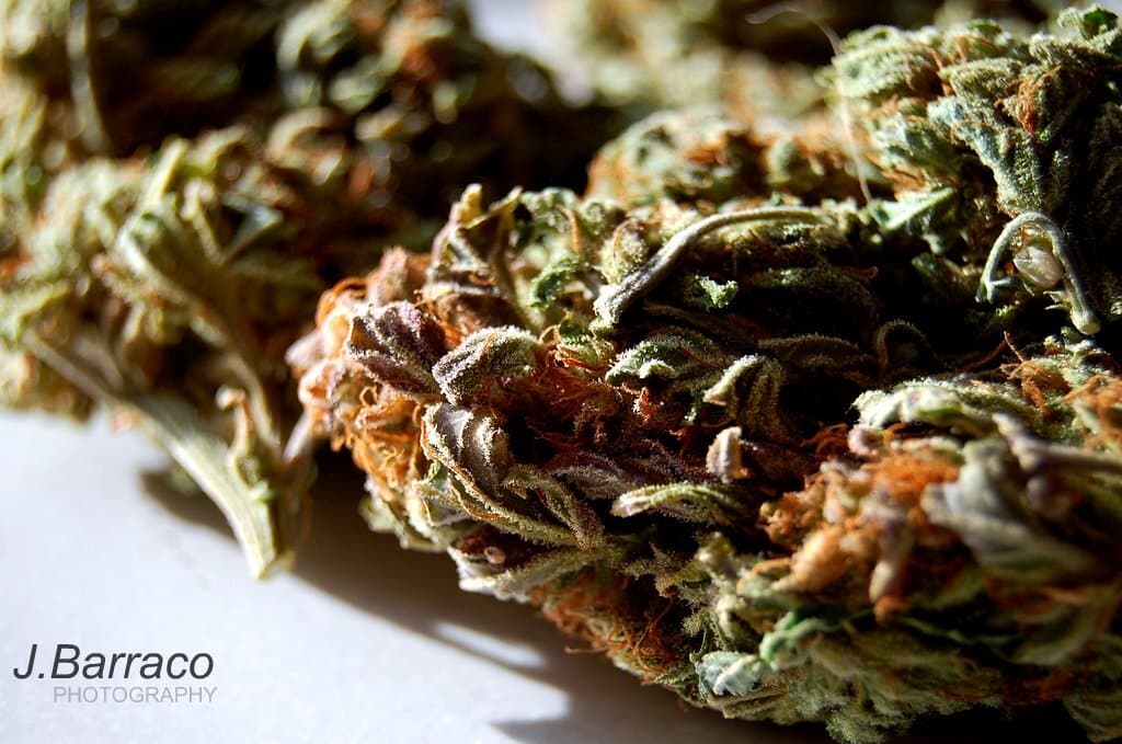Blue Dream Hemp Flower