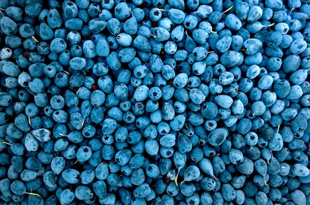 Blue Razz Ice Nicotine Pods