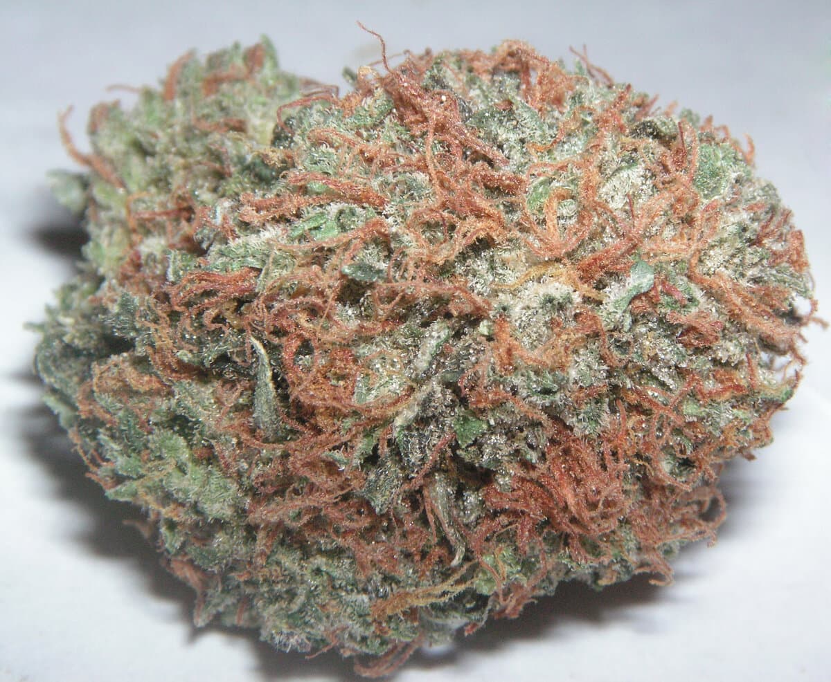 Bubba Kush Hemp Flower