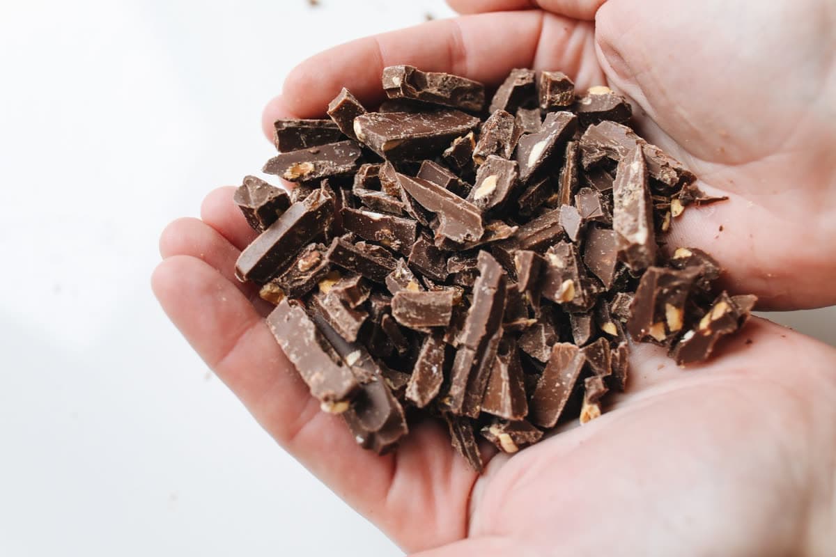 Focus Stack Functional Chocolate Bites (Lion's Mane + Cordyceps)