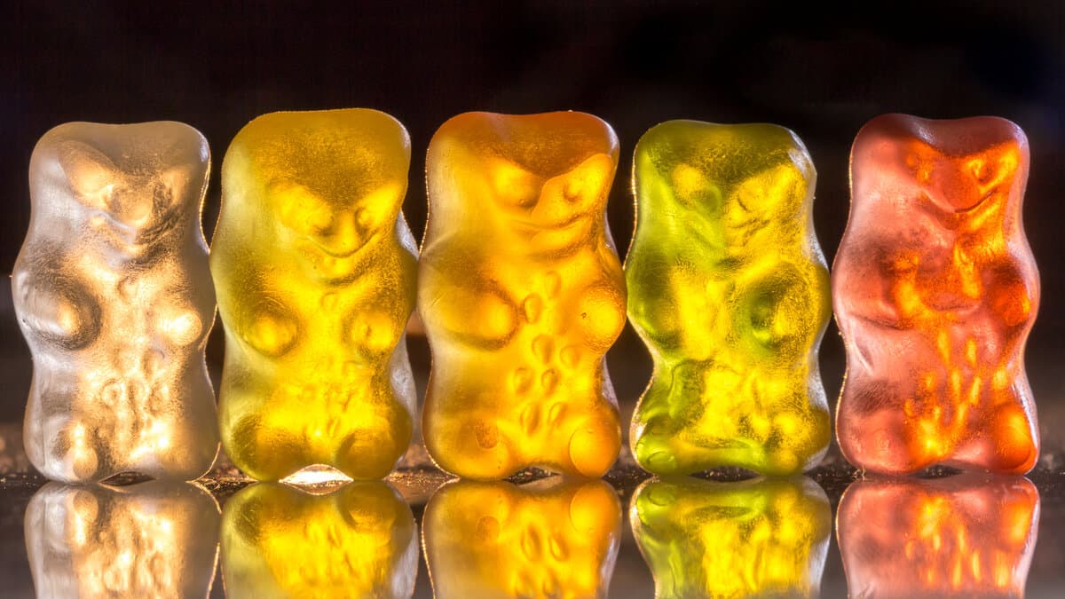 Focus Stack Functional Gummies (Lion's Mane + Cordyceps)