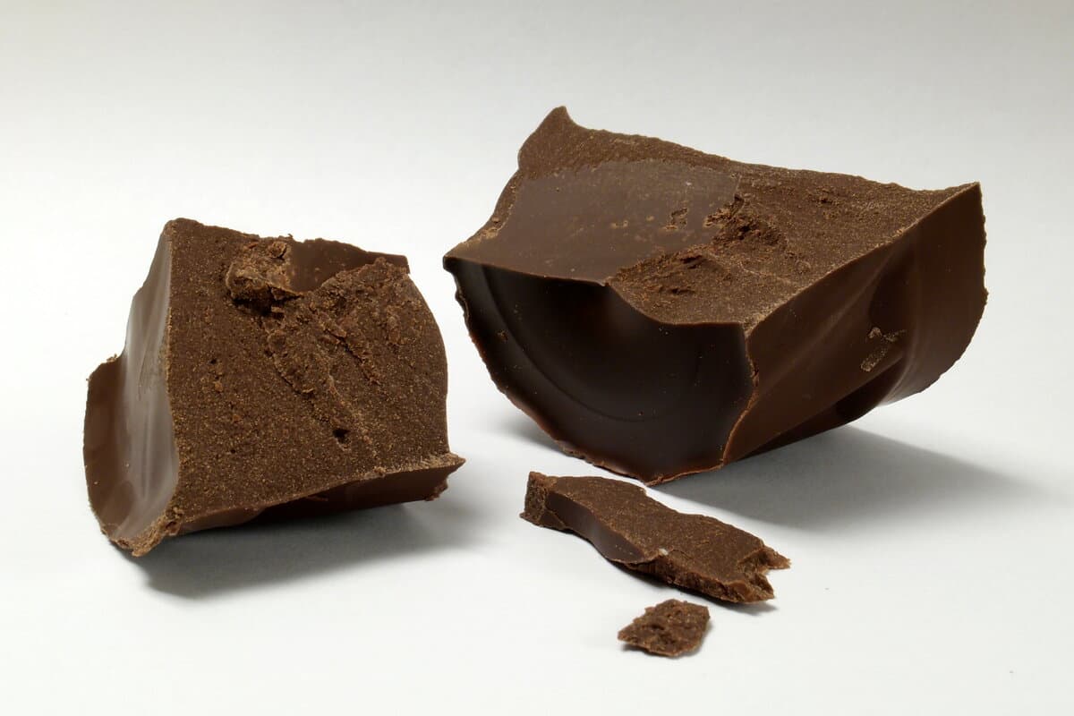 Lion's Mane Functional Chocolate Bites