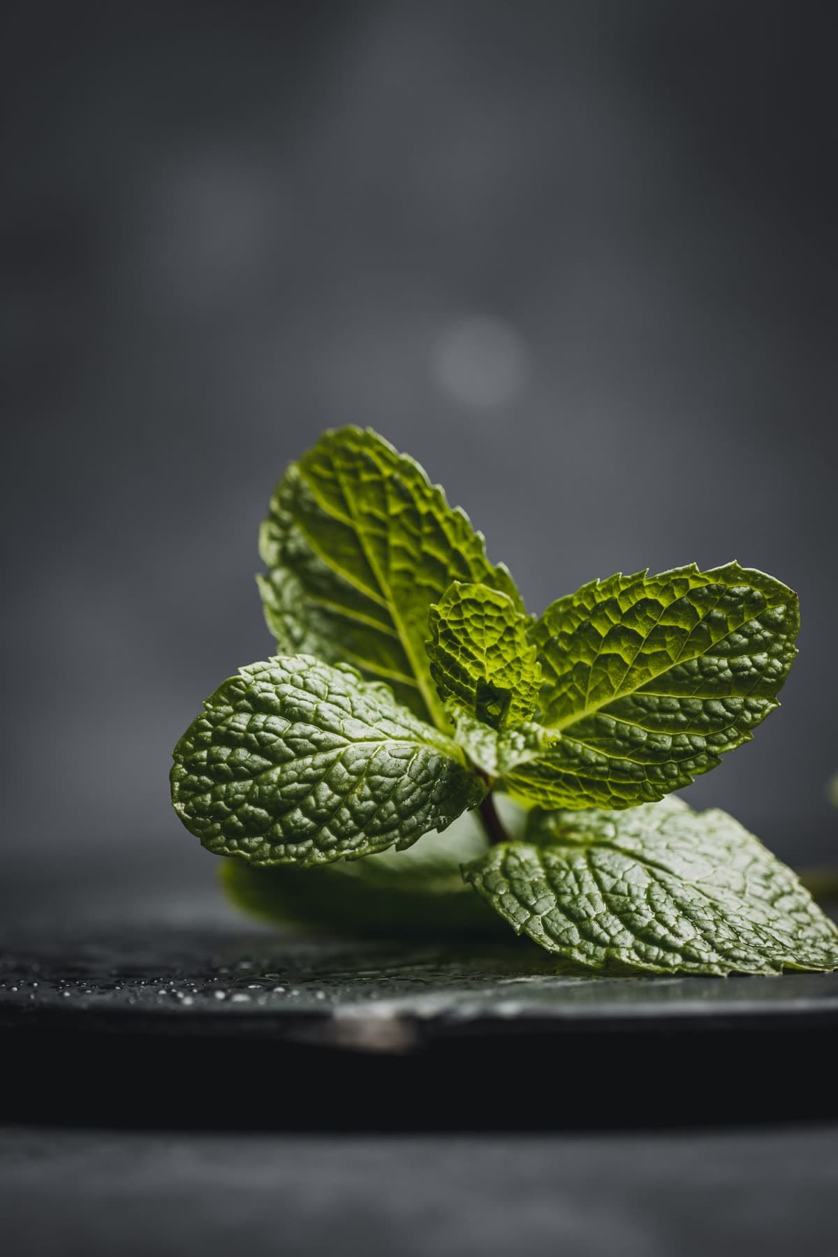 Menthol Nicotine Disposable