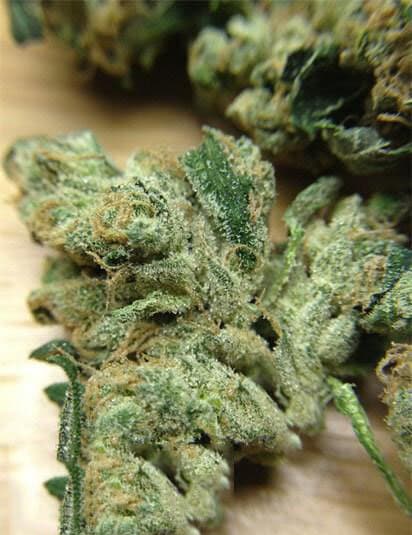 Sour Diesel Hemp Flower