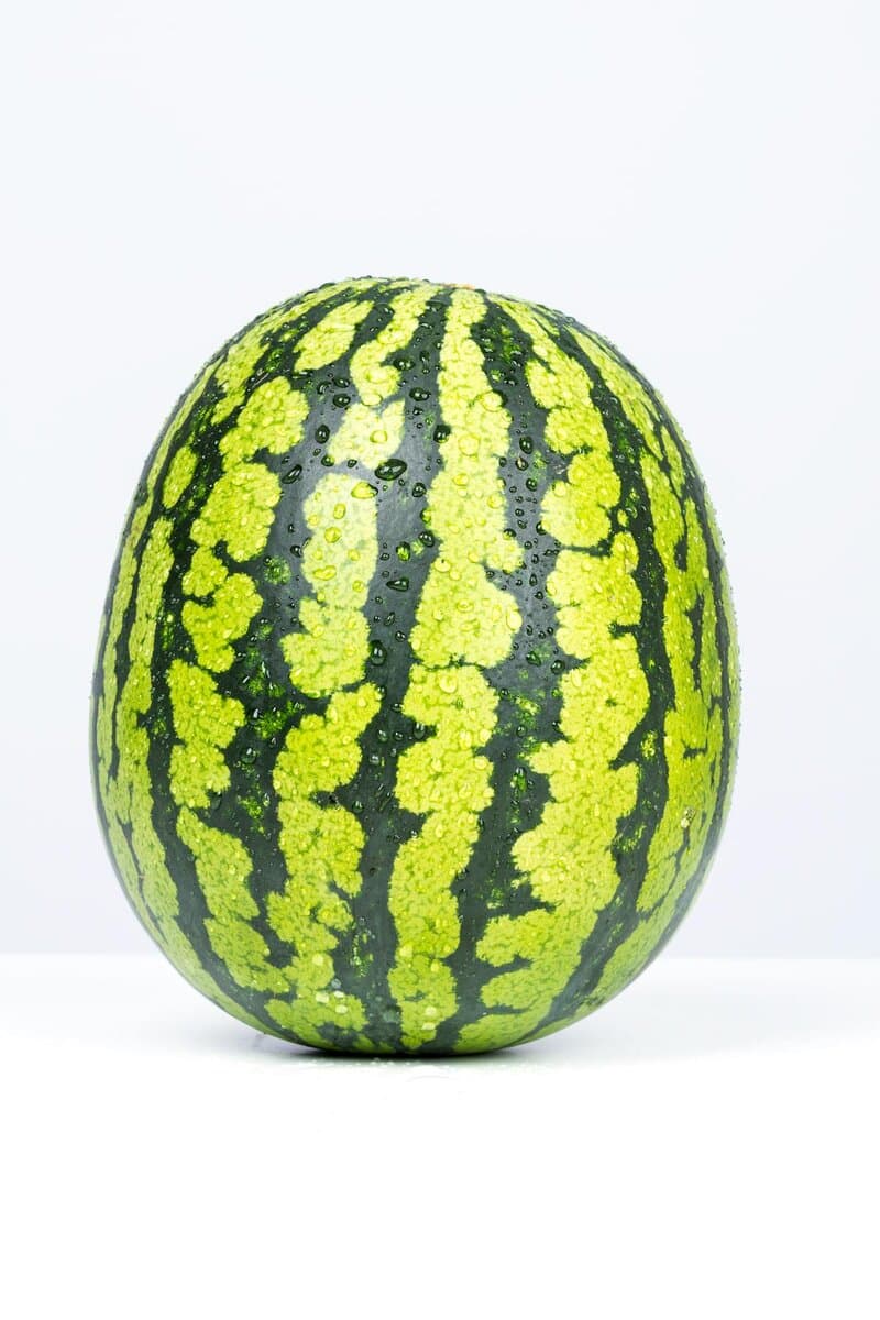 Watermelon Ice Nicotine Disposable